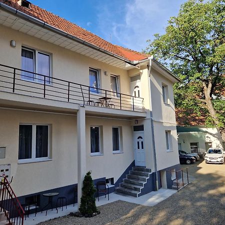 Crisan Residence - Vila Crisan ブラショフ エクステリア 写真