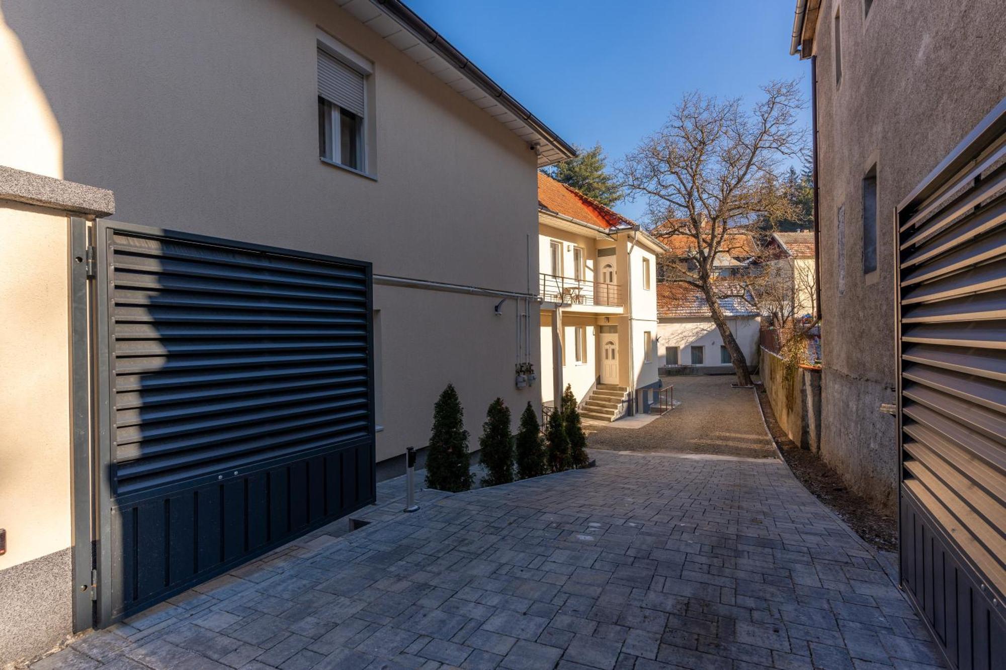 Crisan Residence - Vila Crisan ブラショフ エクステリア 写真