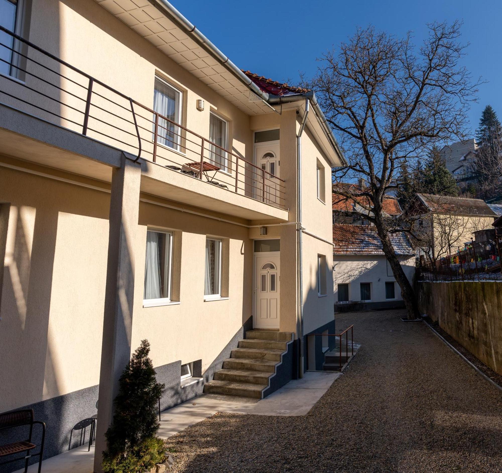 Crisan Residence - Vila Crisan ブラショフ エクステリア 写真