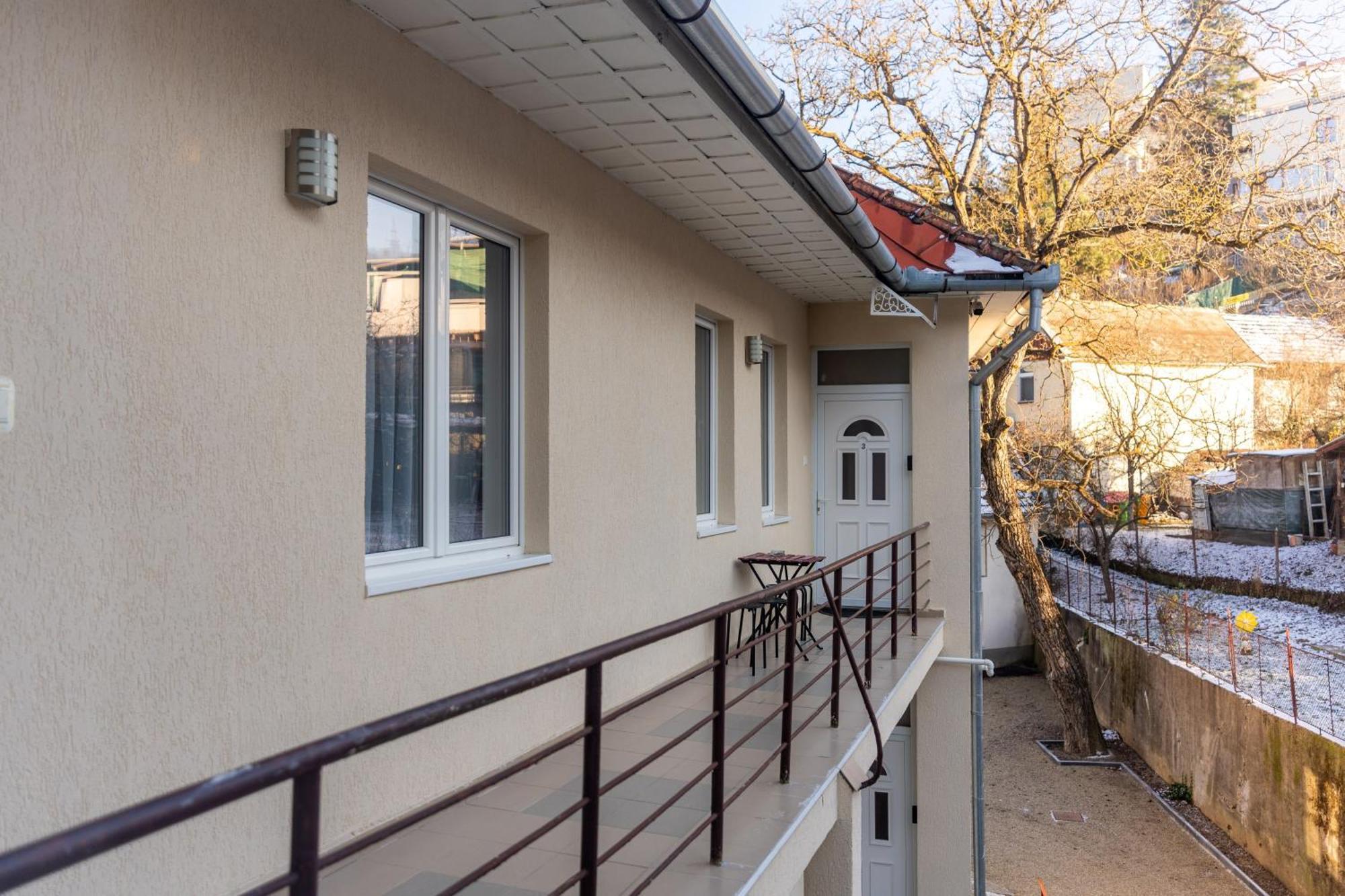 Crisan Residence - Vila Crisan ブラショフ エクステリア 写真