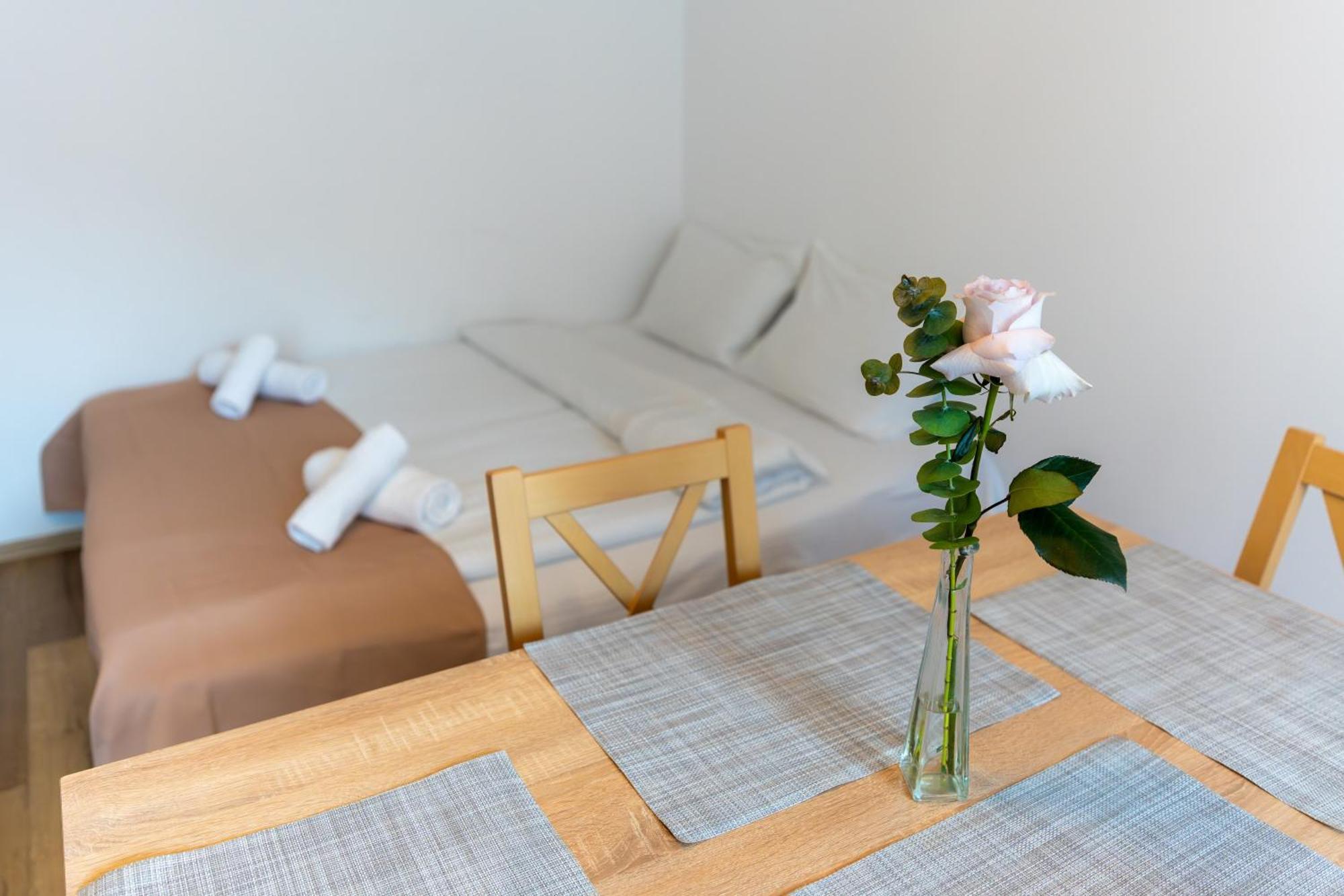 Crisan Residence - Vila Crisan ブラショフ エクステリア 写真